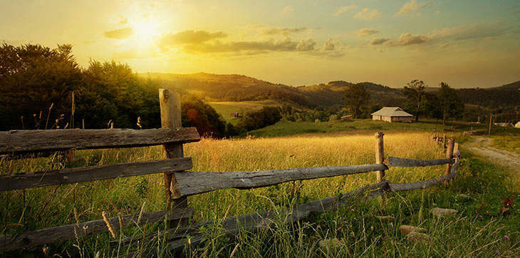 grass-fed, rangeland, rural fence, country life, rural area, fence post, wood fence, farm house