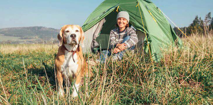 Woman camping with dog 
