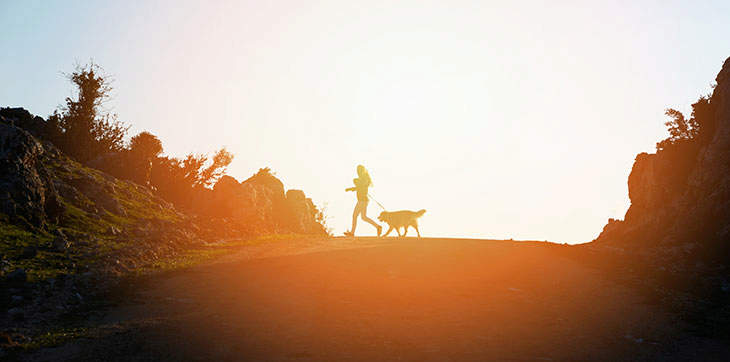 dog walking, dog exercise, dog obesity, dog run, sunset dog walk, dusk dog walk, golden retriever exercise