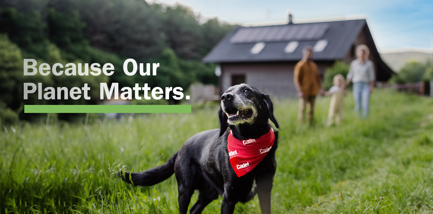 Because Our Planet Matters
