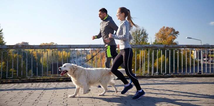 Two people running with golden retriever