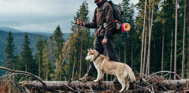 Man hiking with dog