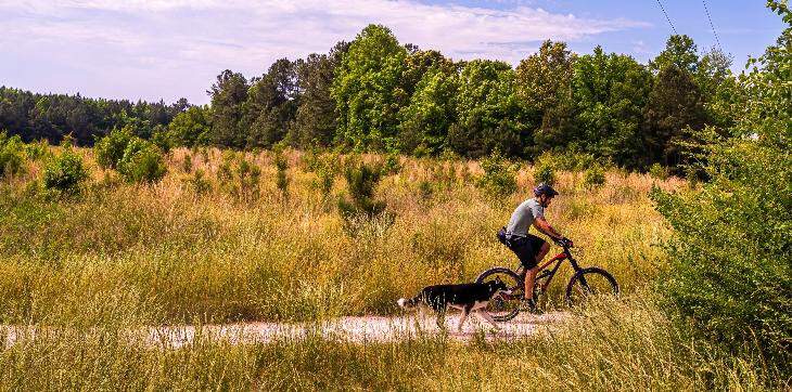 man riding bicycle with dog