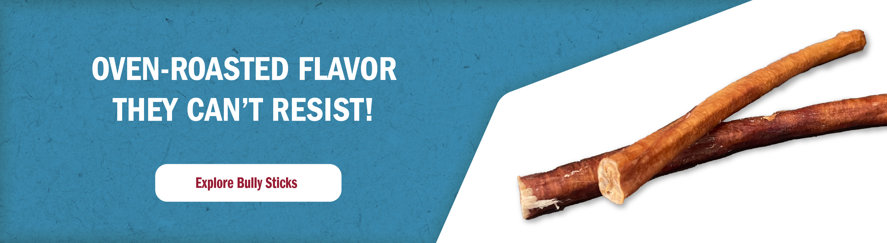 explore bully sticks banner