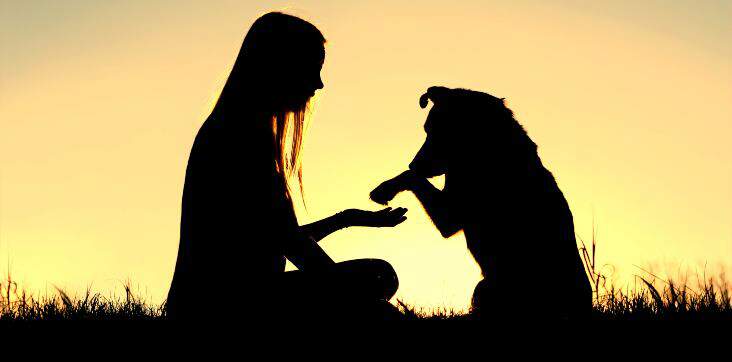 dog and girl sunset