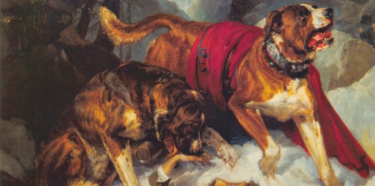 alpine mastiffs reanimating a distressed traveler