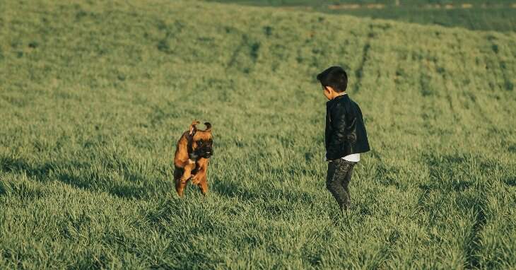 boy and boxer dog