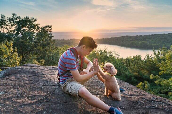 boy and poodle
