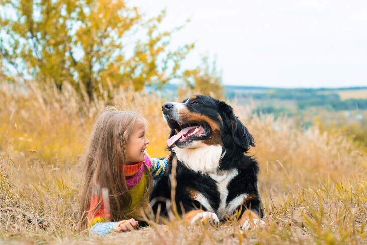 girl and bernese mountain dog