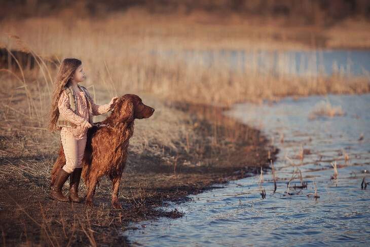 girl and irish setter