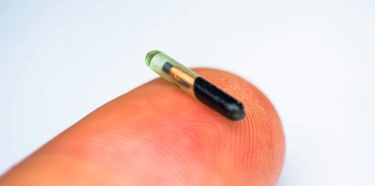 dog-microchip