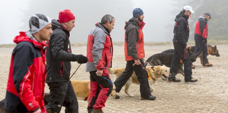 search and rescue dog training class