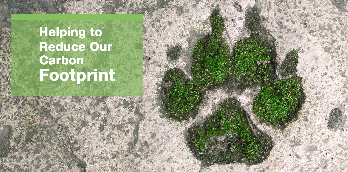Helping to Reduce Our Carbon Footprint
