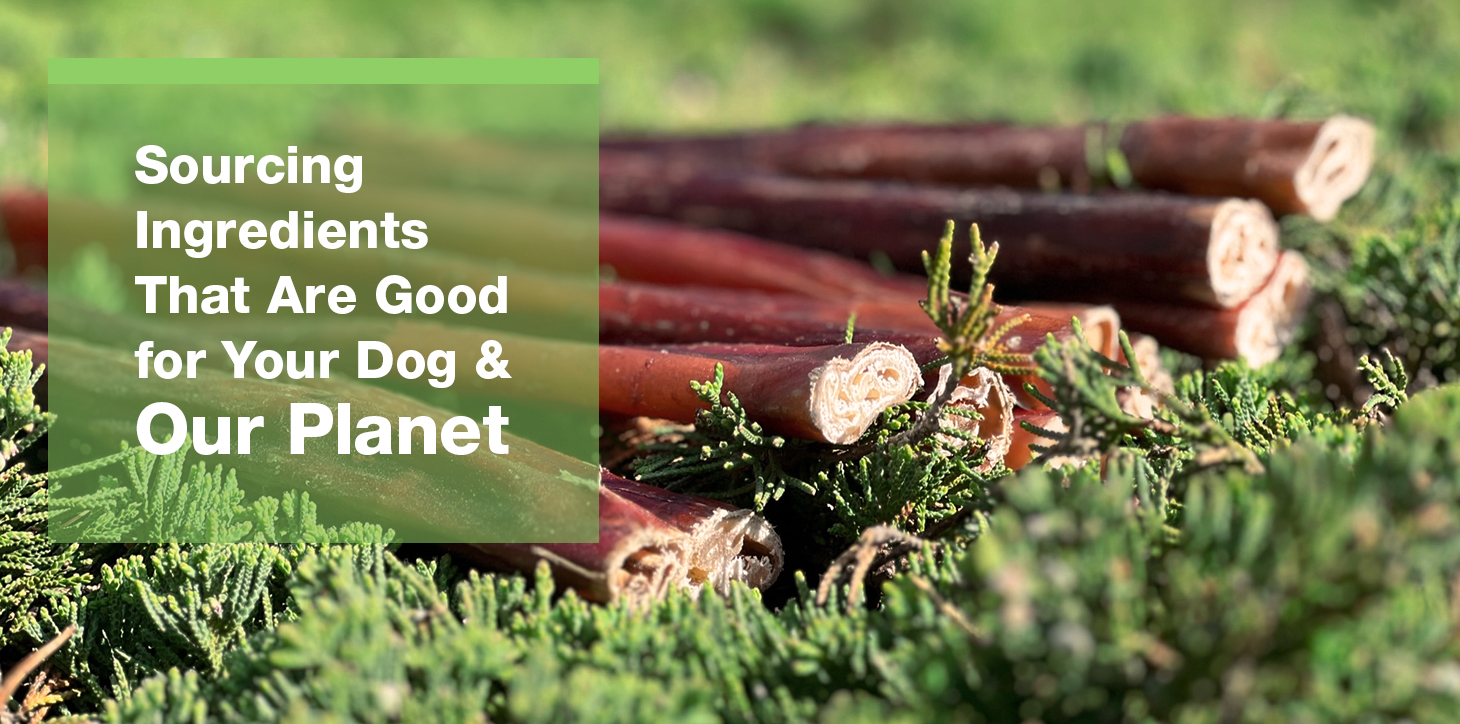 Sourcing Ingredients That Are Good for Your Dog & Our Planet