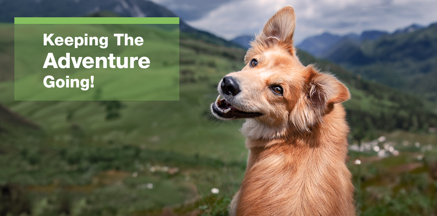 Keep the Adventure Going!