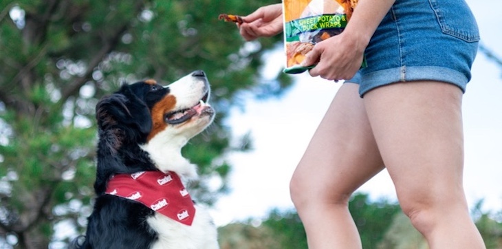 dog sitting for treat outside