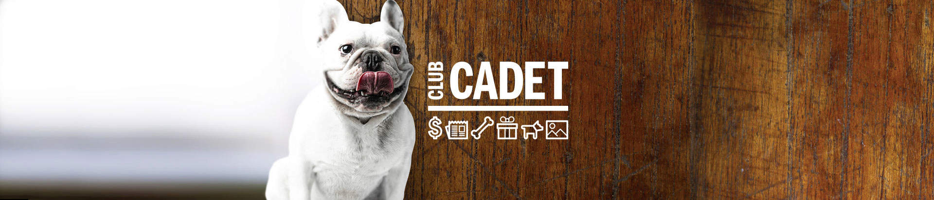 Cadet Pet, Club Cadet, happy dog, dog with tongue out, healthy dog