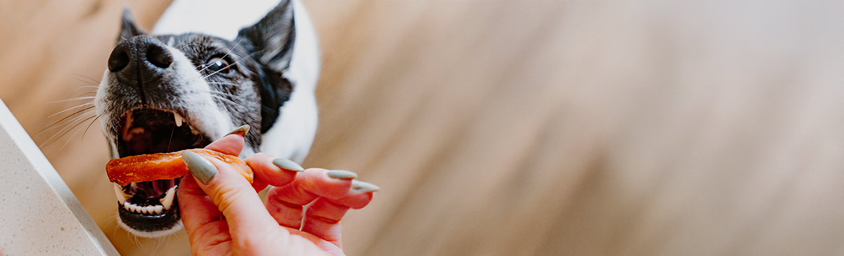 Natural dog chews made with real fruits and real vegetables from Cadet Pet.