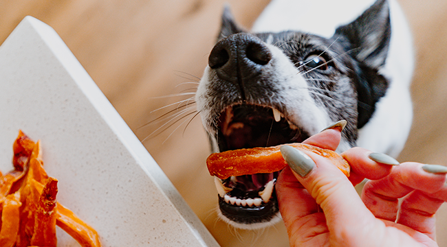Natural dog chews made with real fruits and real vegetables from Cadet Pet.