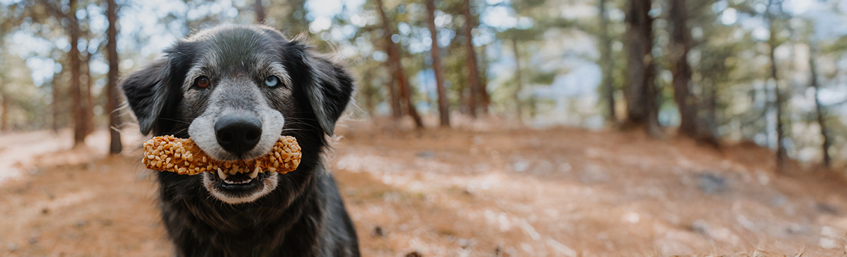Natural dog chews made with real peanut butter from Cadet Pet.