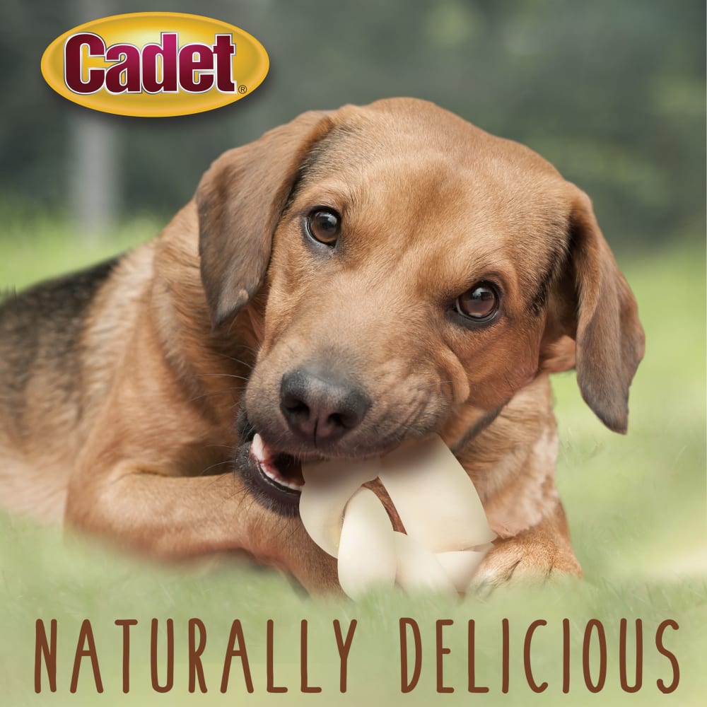 768303001932-ims-5in-braided-rawhide-donut-lifestyle