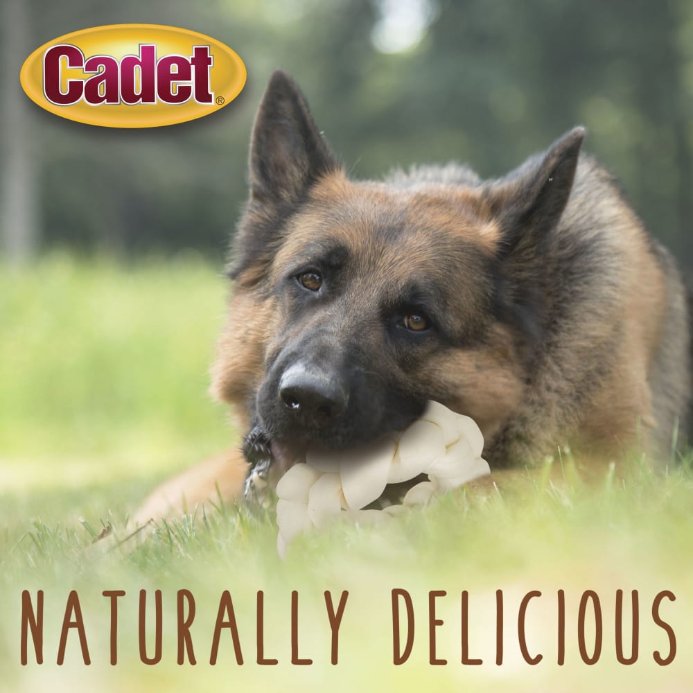 768303001949-ims-8in-braided-rawhide-donut-lifestyle