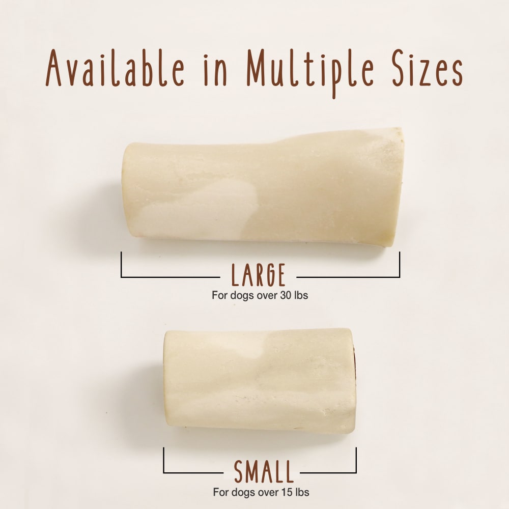 shinbone-size