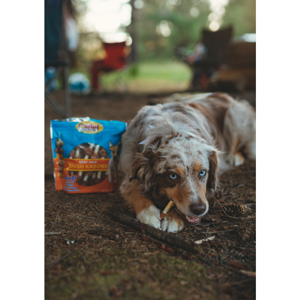 dog with beef hide shish kabob