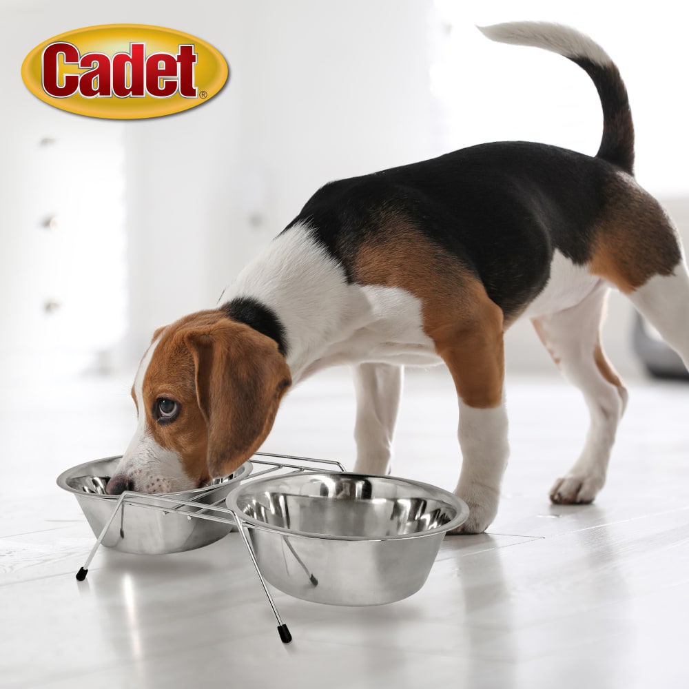 768303040795-ims-double-diner-rack-2qt-lifestyle