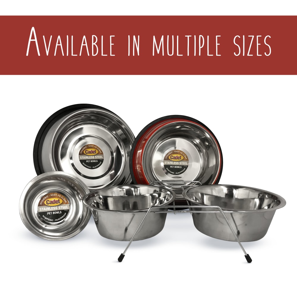 768303041020-ims-stainless-steel-pet-bowl-1qt-family