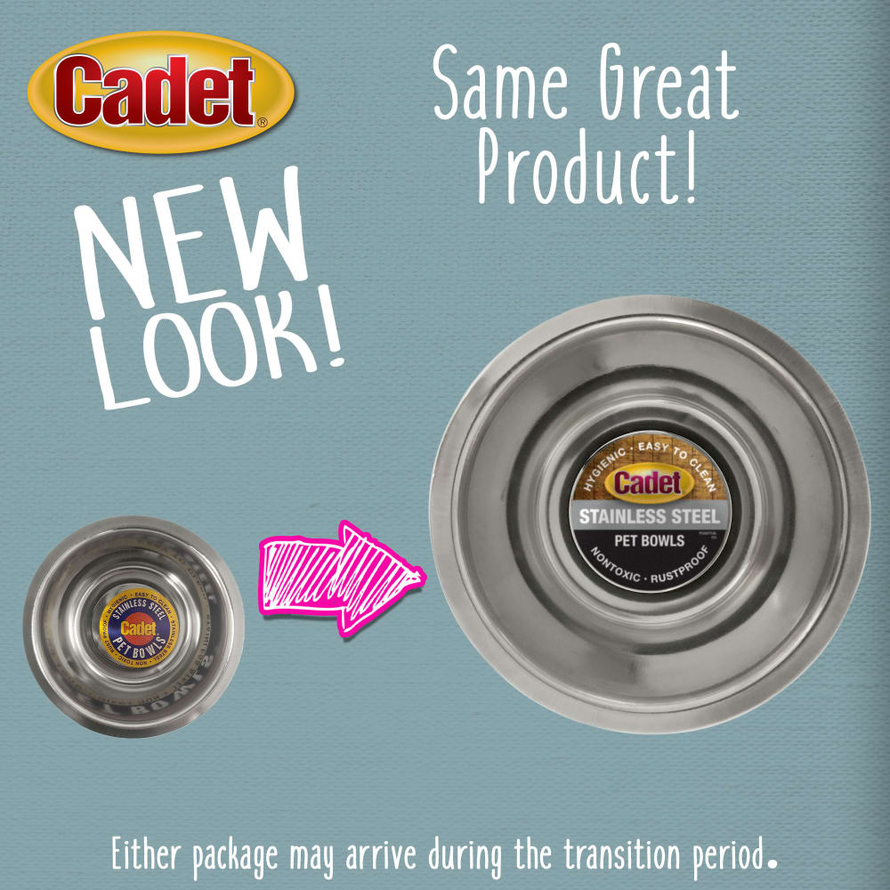 768303041020-ims-stainless-steel-pet-bowl-1qt-newlook