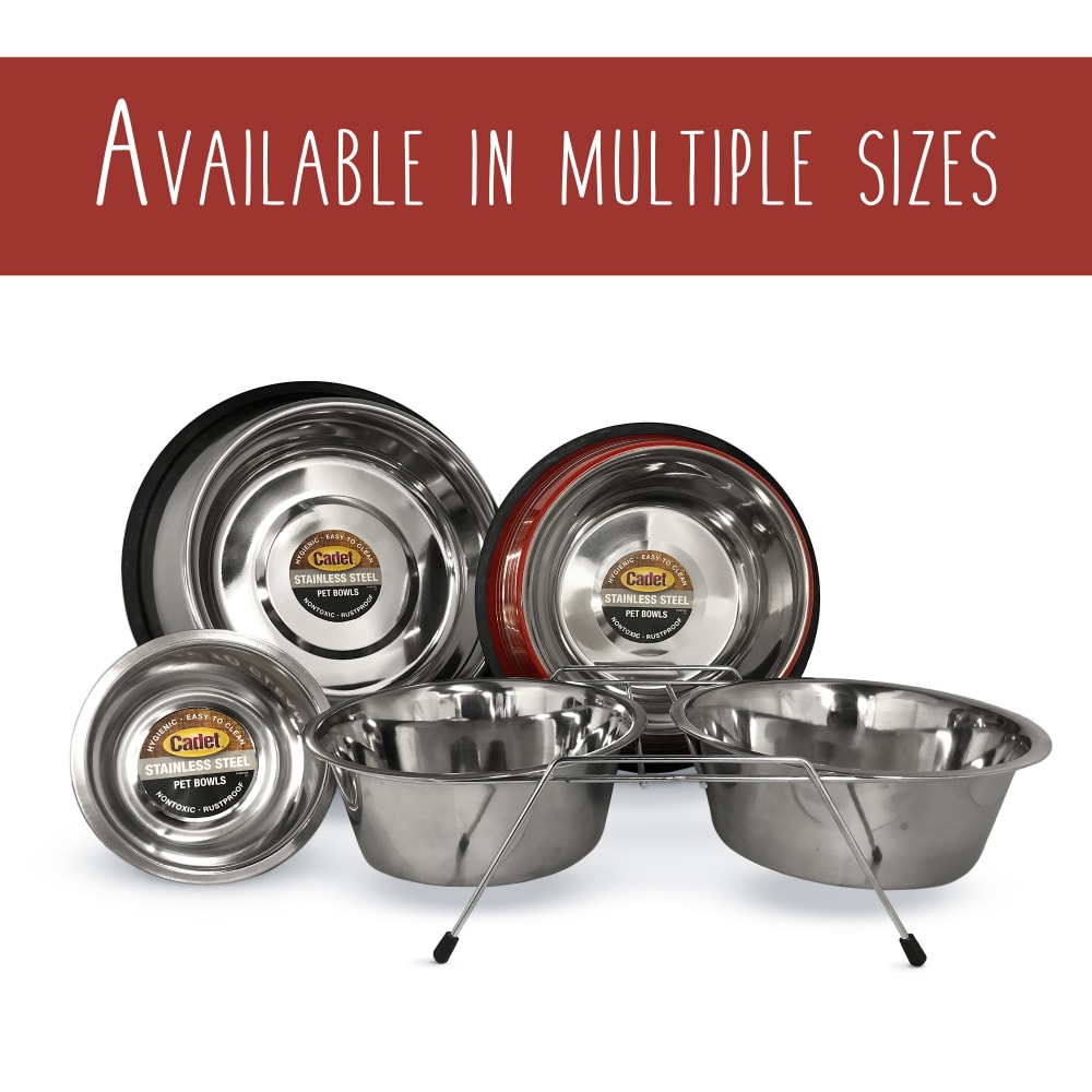 768303041068-ims-non-spill-stainless-steel-pet-bowl-16oz-family