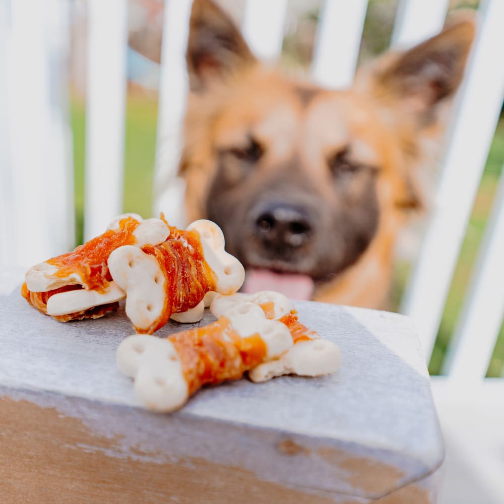 ドッグフード rucca Gourmet Chicken & Biscuit Treats | Cadet Pet