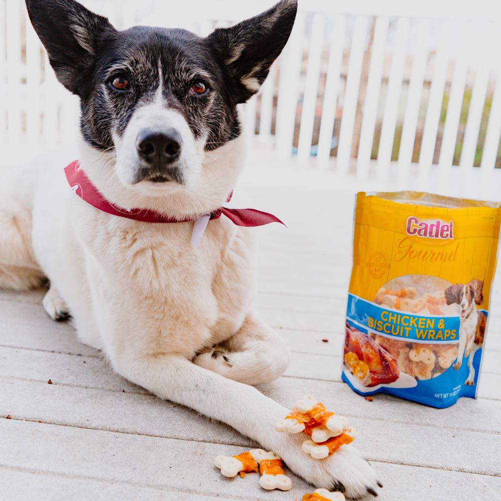 Gourmet Chicken & Biscuit Treats | Cadet Pet