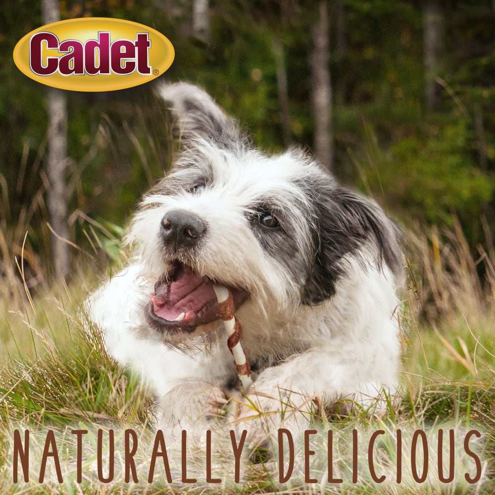 768303072215-ims-beef-hide-duck-twists-14pc-lifestyle