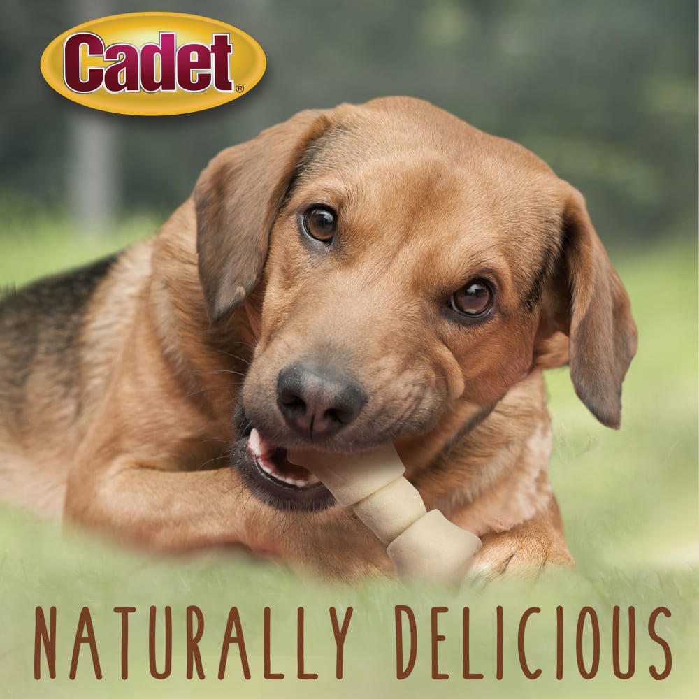 768303100109-ims-cadet-beef-hide-knotted-bone-4-5in-1lb-lifestyle