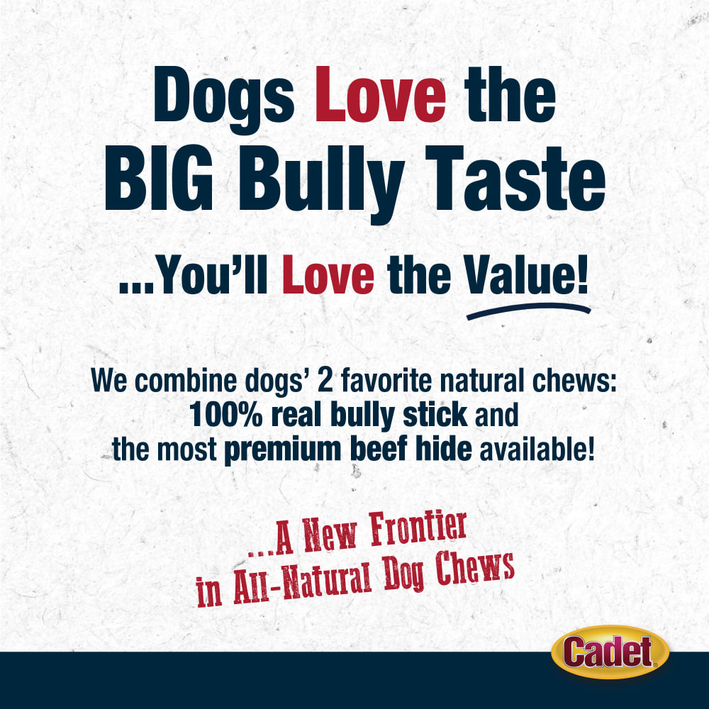 768303705571-ims-bully-hide-stick-small-1ct-bullyhidestory