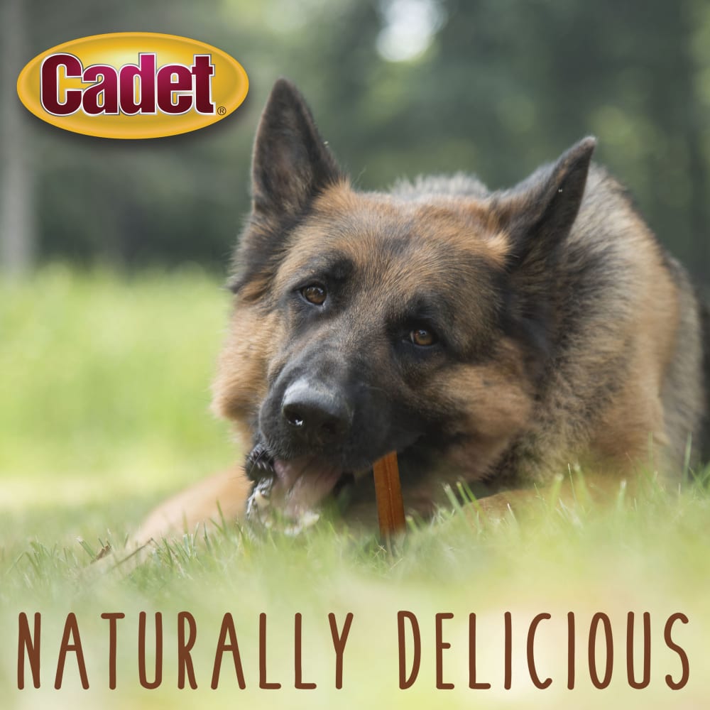 768303320019-ims-bully-stick-value-pack-lifestyle