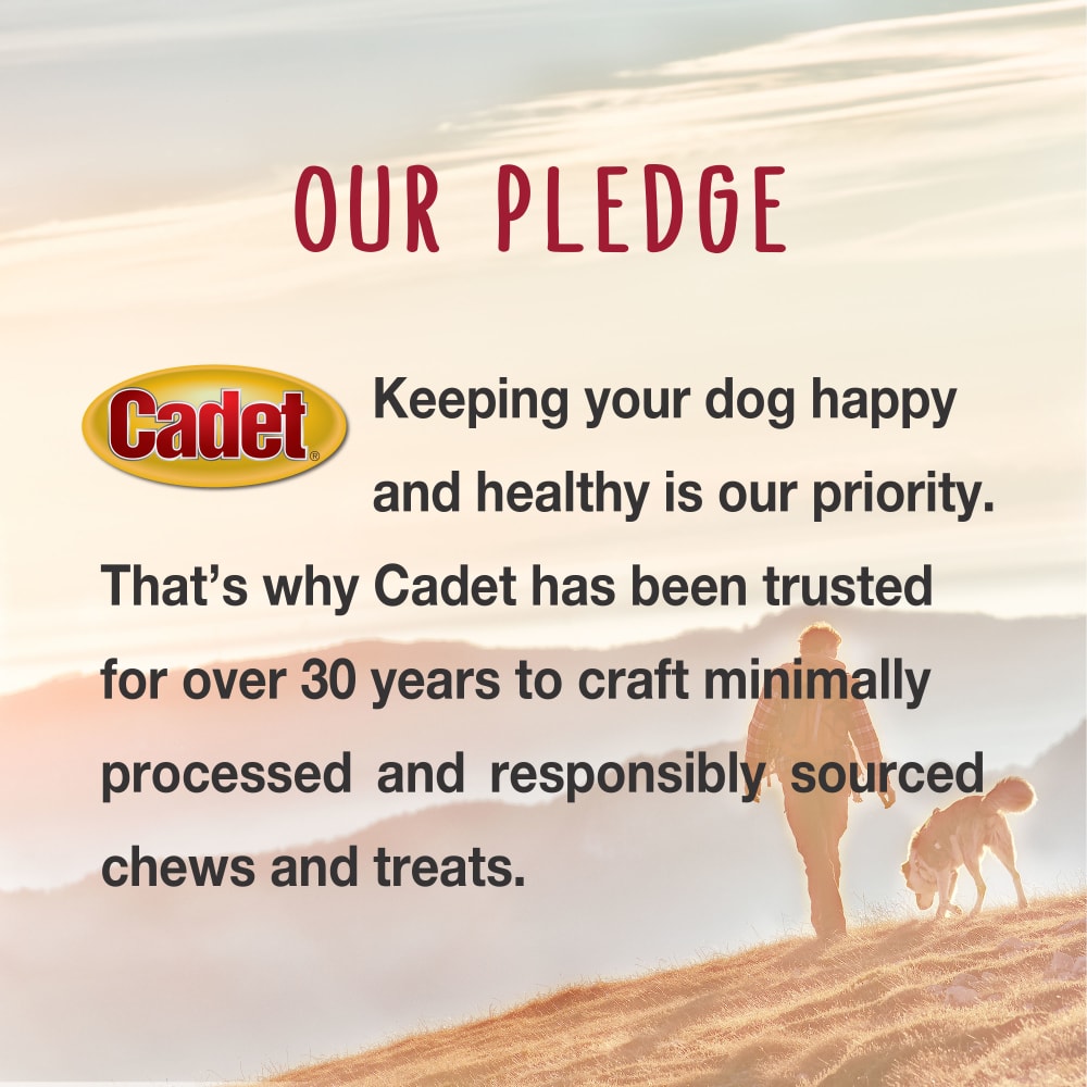 cadet-our-pledge